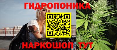 молекула духа Жуковский