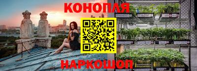 прущие грибы Заводоуковск