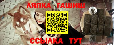 прущие грибы Заводоуковск