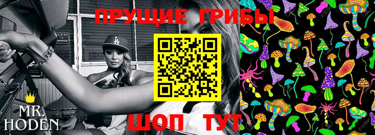 Псилоцибиновые грибы ЛСД Майкоп