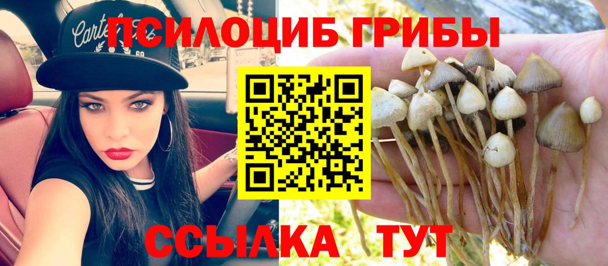 Майкоп  Галлюциногенные грибы ЛСД  Вход с VPN 